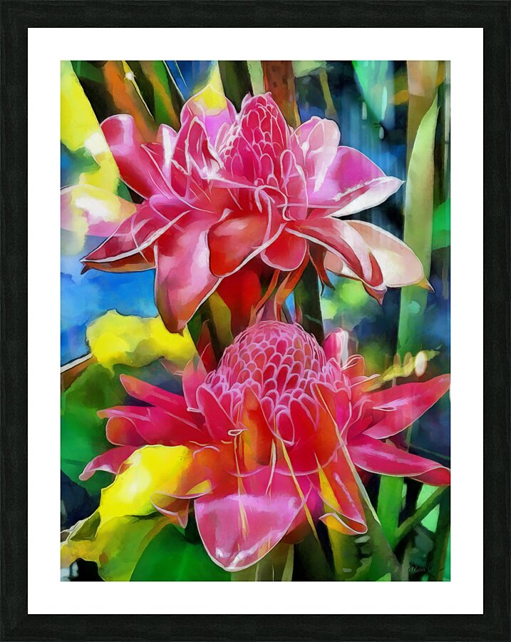 HC0989   Picture Frame print