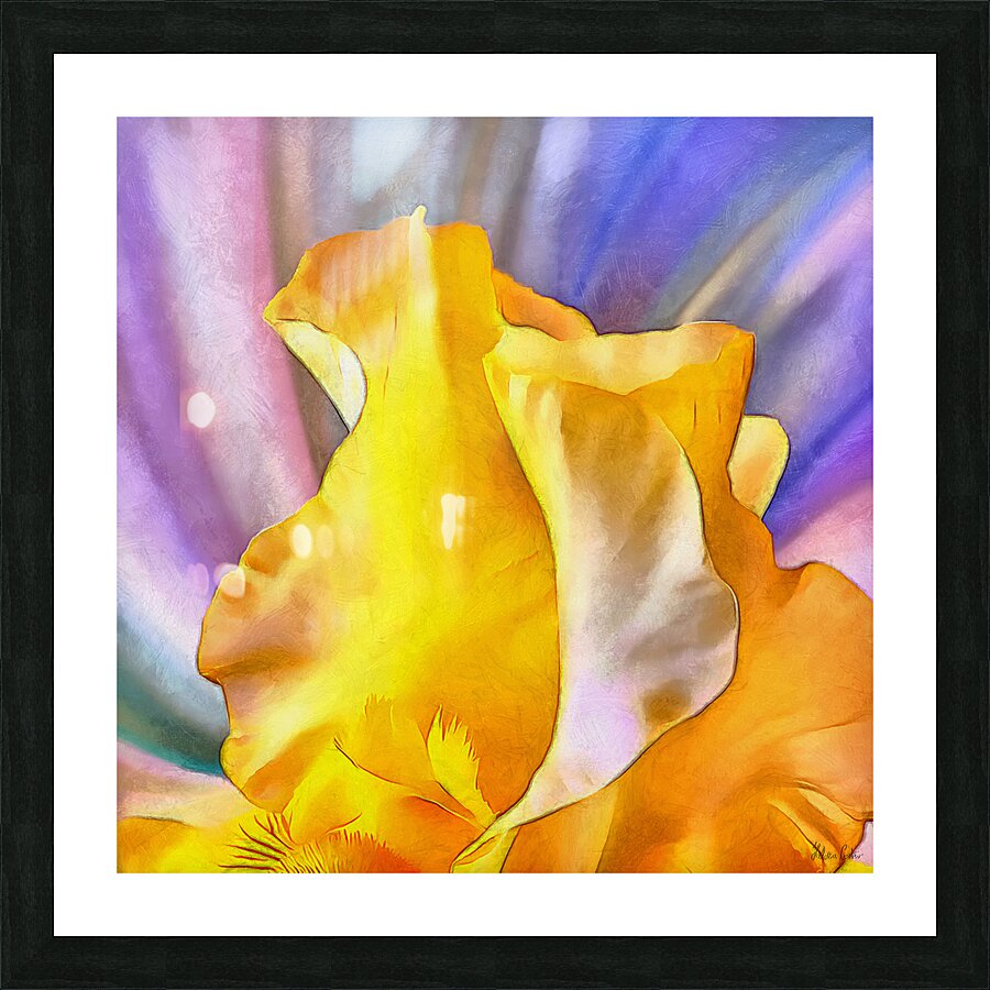 HC0946    Picture Frame print