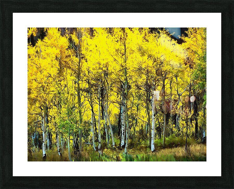 HC0998    Picture Frame print