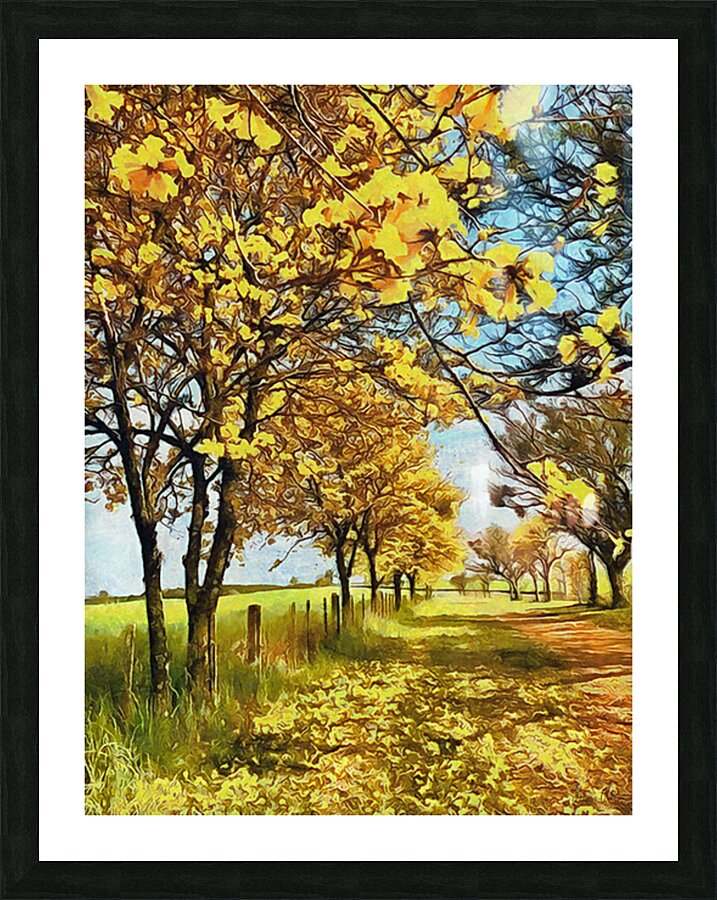 HC0992   Picture Frame print