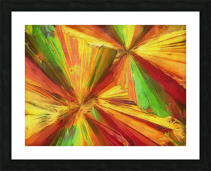 HC0931   Picture Frame print
