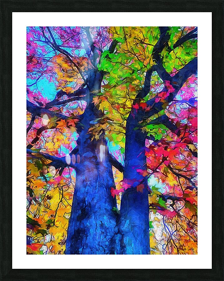 HC0867    Picture Frame print