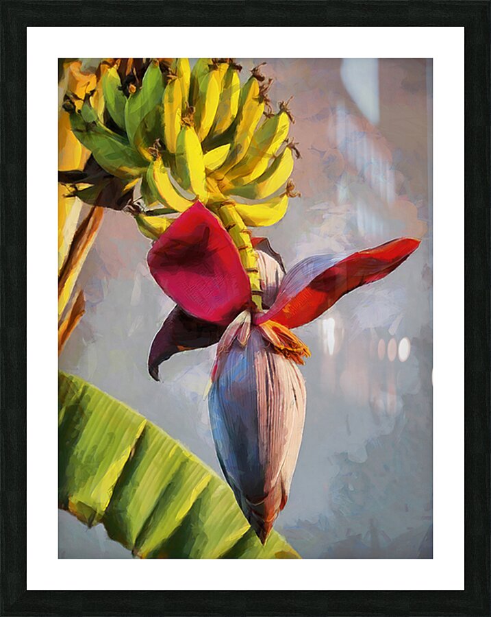 HC0603  Picture Frame print