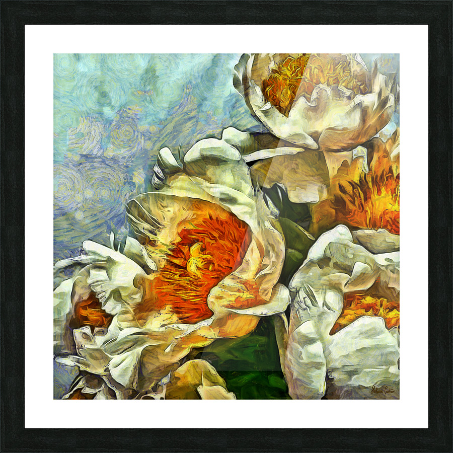 HC0474    Picture Frame print