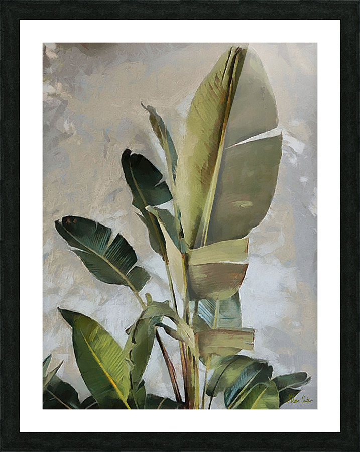 HC0694  Picture Frame print
