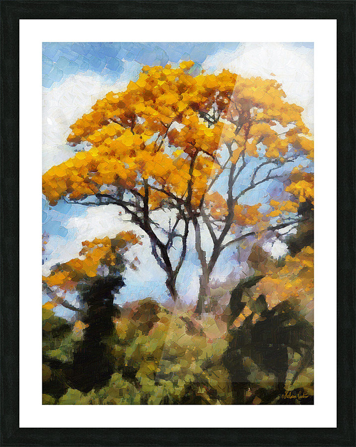 HC0874    Picture Frame print