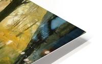 HC0300 HD Metal print