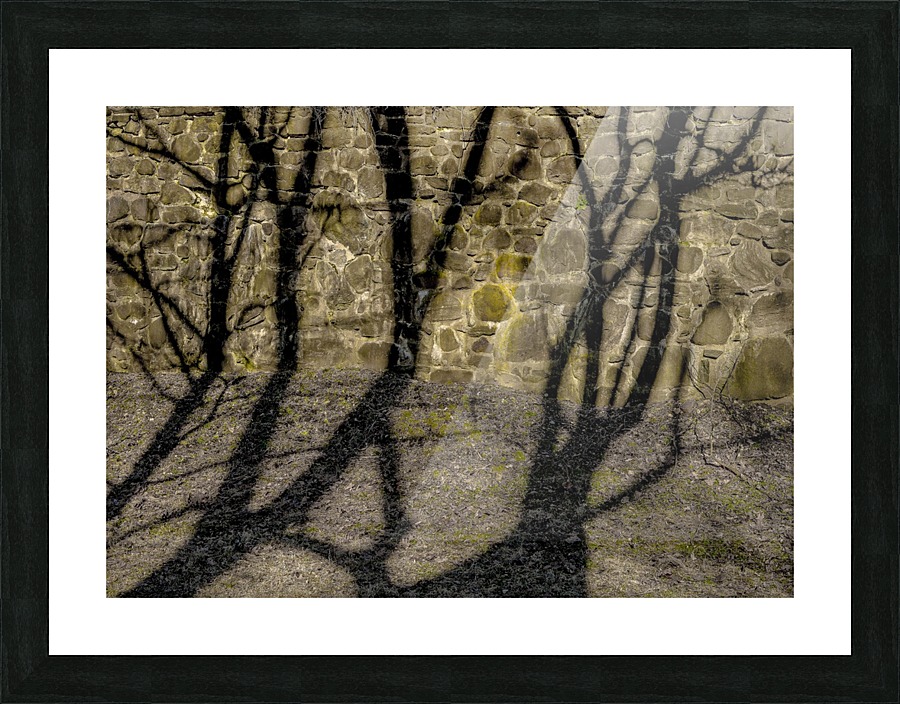 Tree Upon Wall I  Picture Frame print