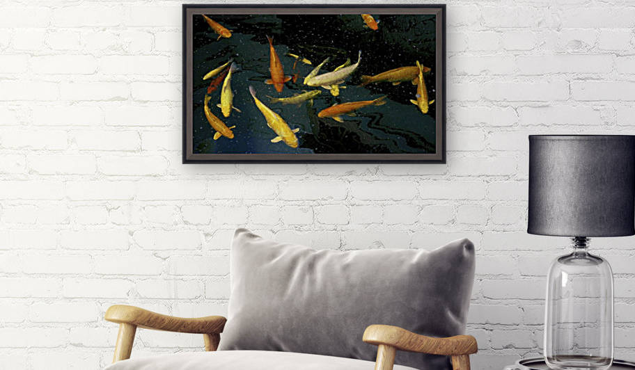 Gaggle of Fish by Eitan Daniel Raz photogRAZy Studio
