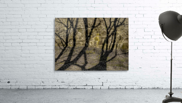 Tree Upon Wall I  Wall Preview