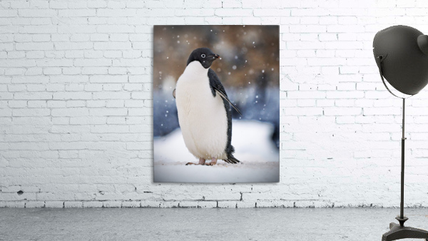 Penguin Wall Preview