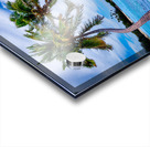 Krenny Lavitz Acrylic print