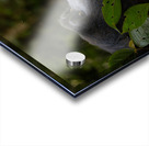 Lookin to Sky to Save Me Acrylic print