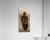 Arsenal Pride Acrylic Print