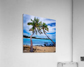 Krenny Lavitz Acrylic Print