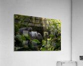 Lookin to Sky to Save Me Acrylic Print