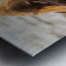 Arsenal Pride Metal print