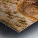 Battle For Hayden Valley Metal print