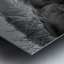 There Can Be Only One Metal print