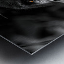 Do You Remember When Metal print