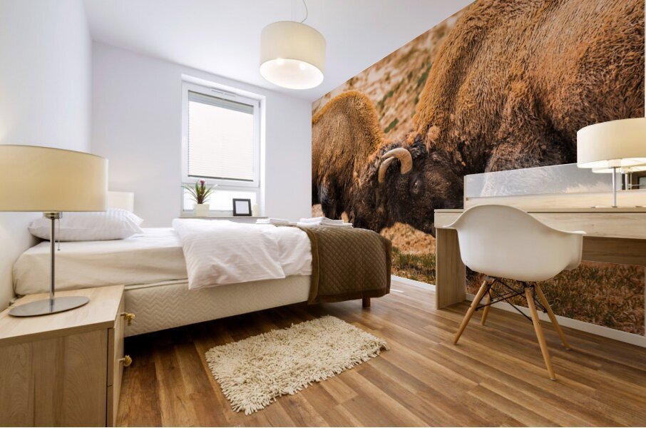 Battle For Hayden Valley Mural print