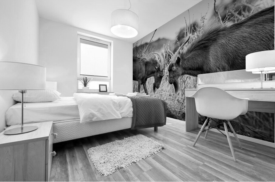 There Can Be Only One Mural print