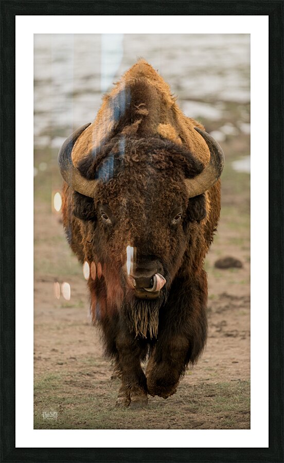 Arsenal Pride Picture Frame print