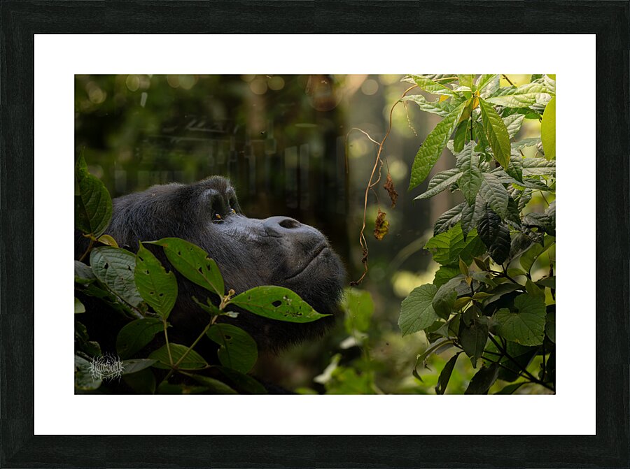 Lookin to Sky to Save Me Picture Frame print