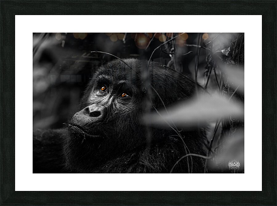 Do You Remember When Picture Frame print