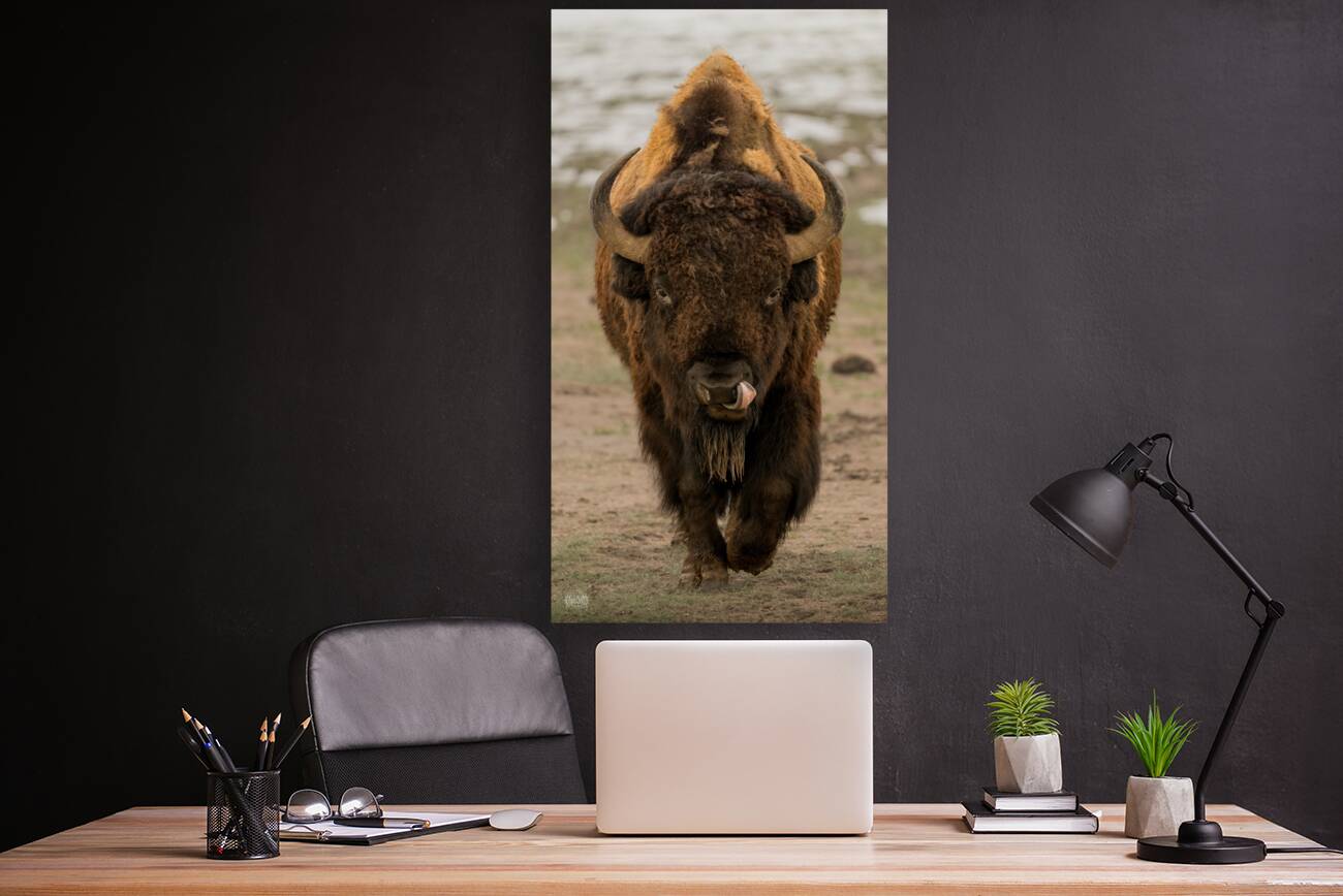 Arsenal Pride Reproduction