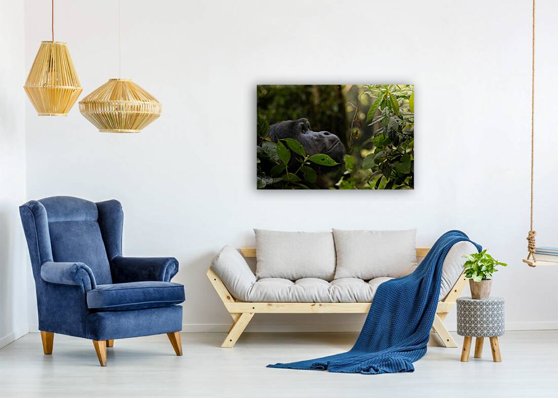 Lookin to Sky to Save Me Reproduction