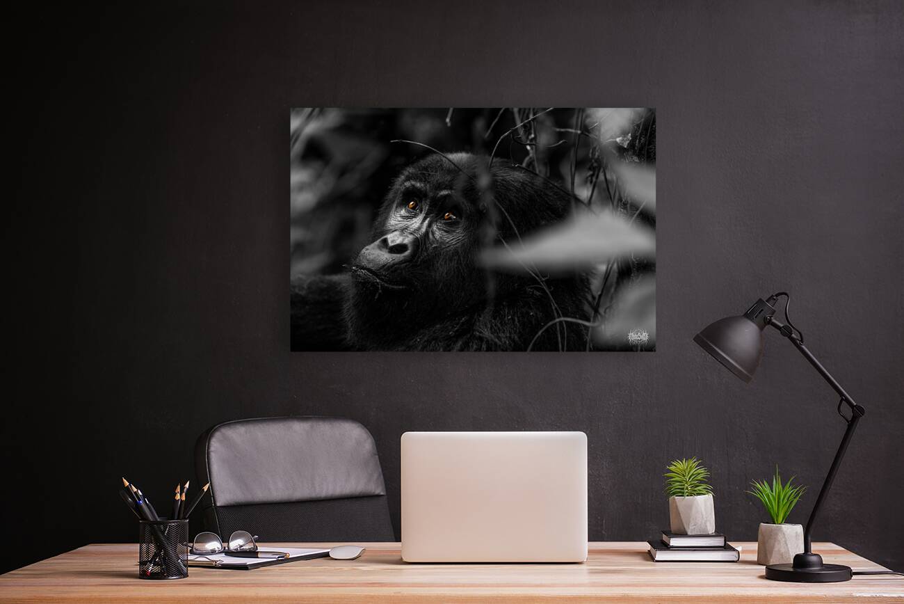 Do You Remember When Reproduction