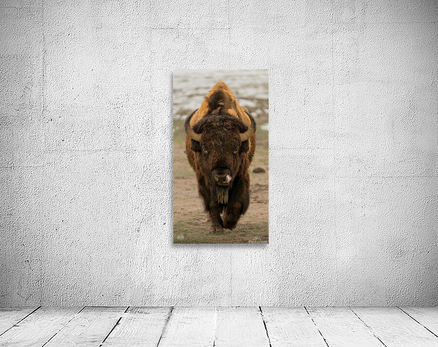 Arsenal Pride Wall Preview