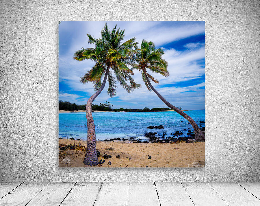 Krenny Lavitz Wall Preview