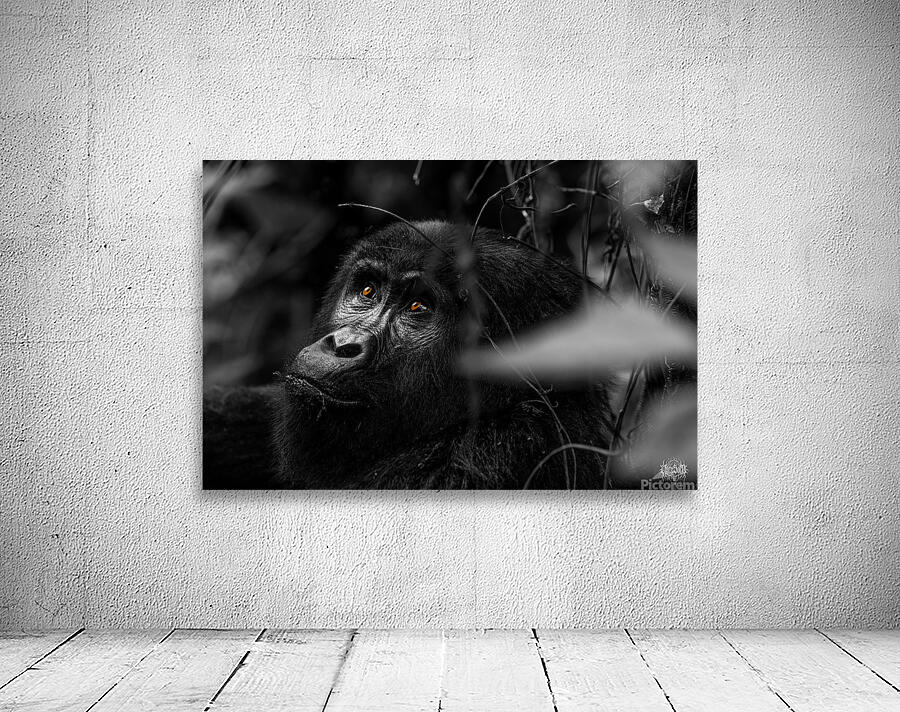 Do You Remember When Wall Preview