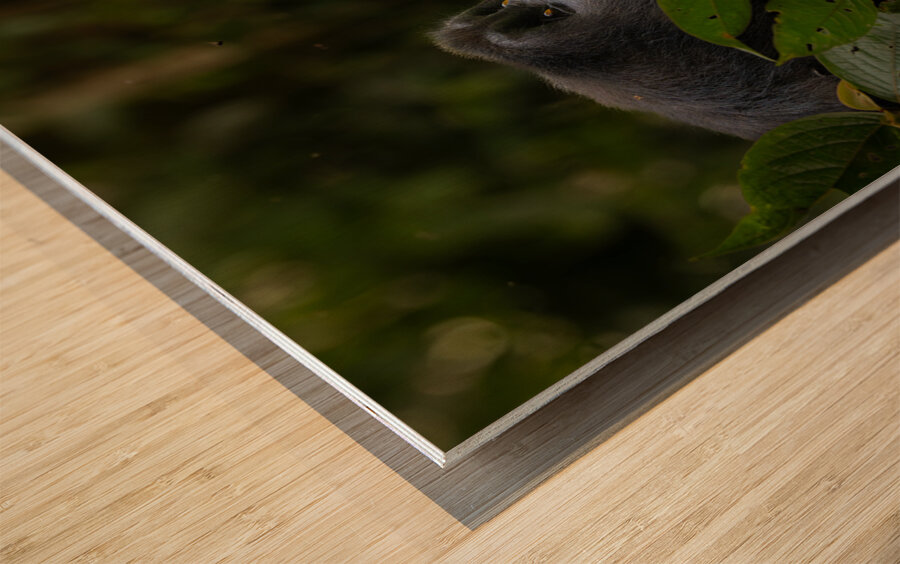 Lookin to Sky to Save Me Wood print