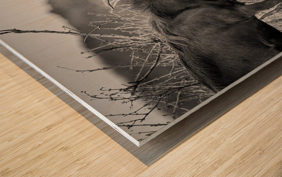 There Can Be Only One Wood print