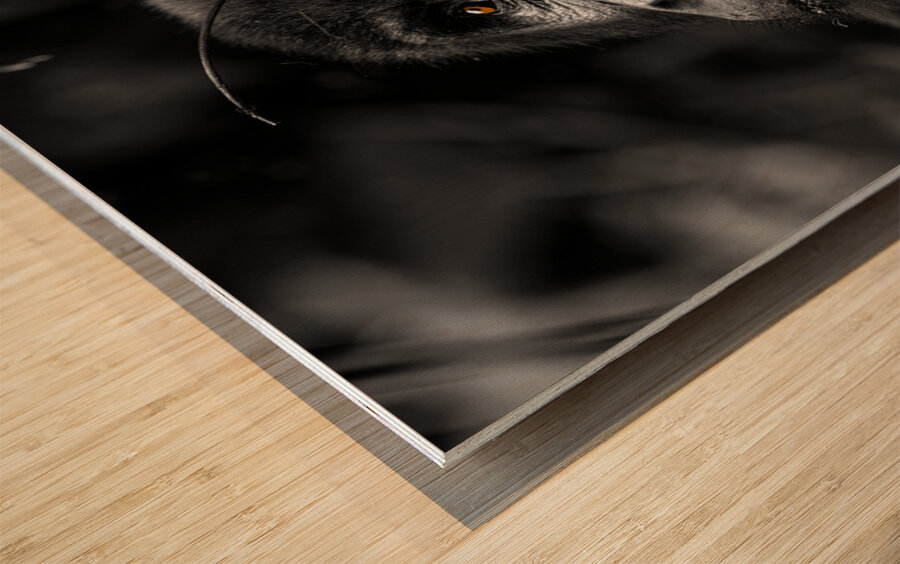 Do You Remember When Wood print