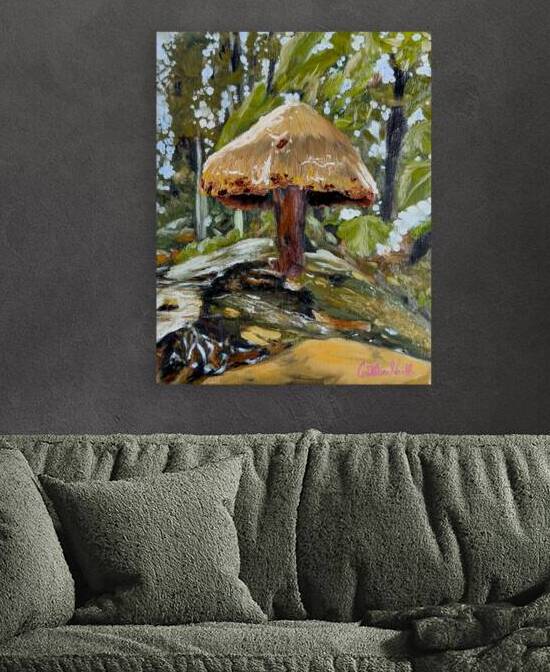 The Mushroom Who Waited for the Rain by Caitlin North