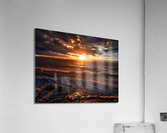 PNPG8633 Acrylic Print