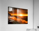 PNPG1247 Acrylic Print