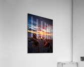 Renaissance 4x3 Acrylic Print