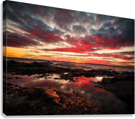 PNPG5064 8mai Canvas Print