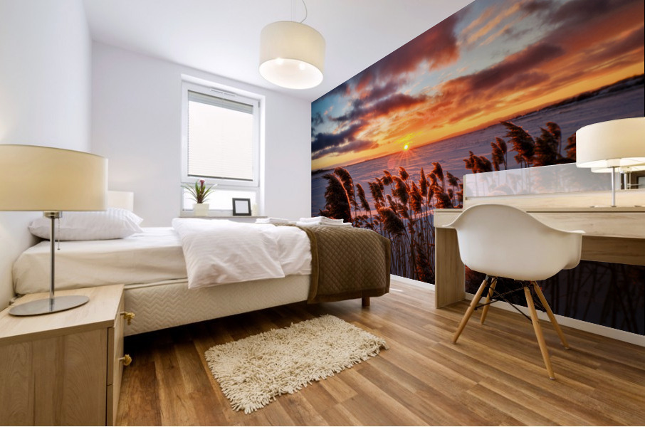 Renaissance 4x3 Mural print