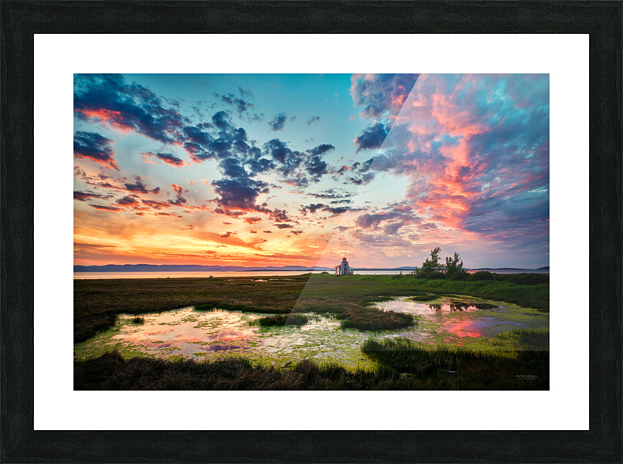 DSCF5066 1 Picture Frame print