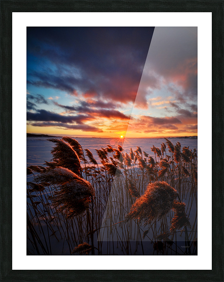 Renaissance 4x3 Picture Frame print
