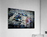 Lifes a Beach Acrylic Print