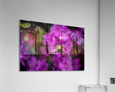 Busy bee Acrylic Print