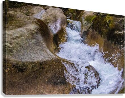 Basin Canvas Print