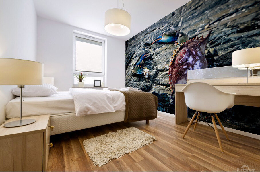 Lifes a Beach Mural print